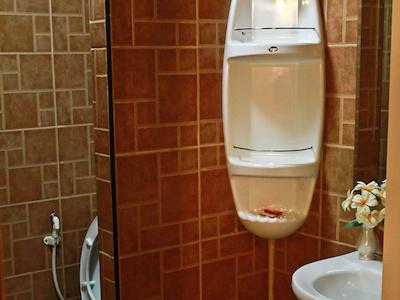 استار گوسدوس