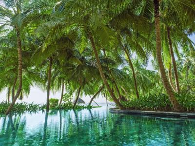 وان اند اونلی ریتی راه