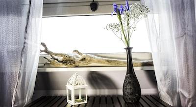 است پتر بد این رم