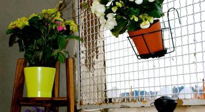 است پتر بد این رم