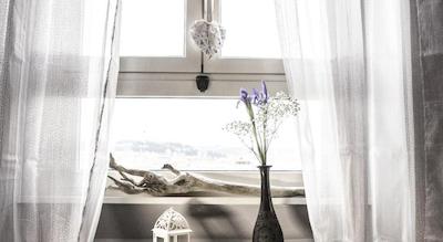 است پتر بد این رم