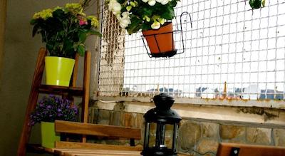 است پتر بد این رم