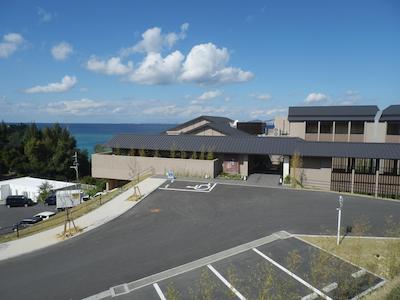 ومی نو ریتی اُکیناوا ناکاماسو