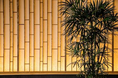 ومی نو ریتی اُکیناوا ناکاماسو