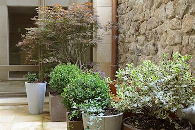 ارتسا سویتز اند اسپا