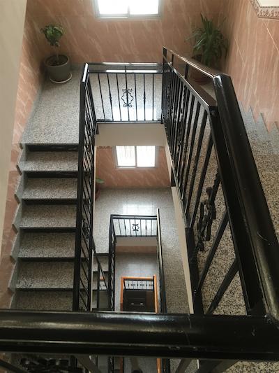 هستال کنچیتا