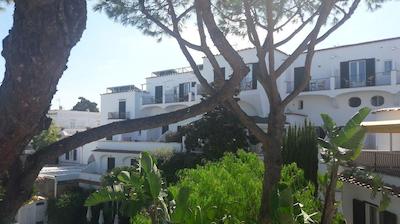 فلریدیانا ترم