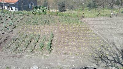 ای لو دو کاساز دا فراگا