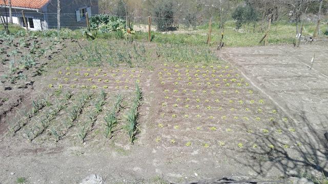 ای لو دو کاساز دا فراگا