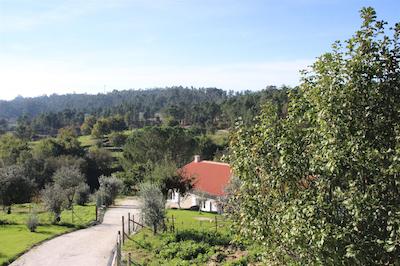 ای لو دو کاساز دا فراگا