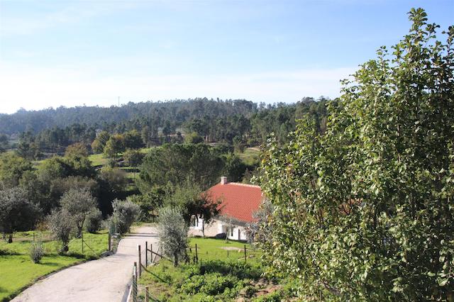 ای لو دو کاساز دا فراگا