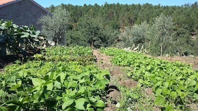 ای لو دو کاساز دا فراگا