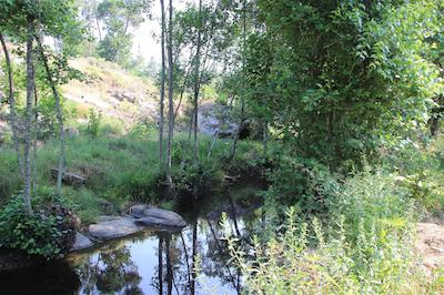 ای لو دو کاساز دا فراگا