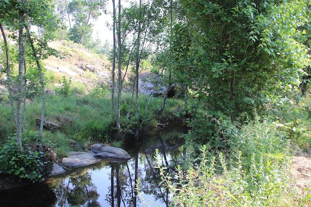 ای لو دو کاساز دا فراگا