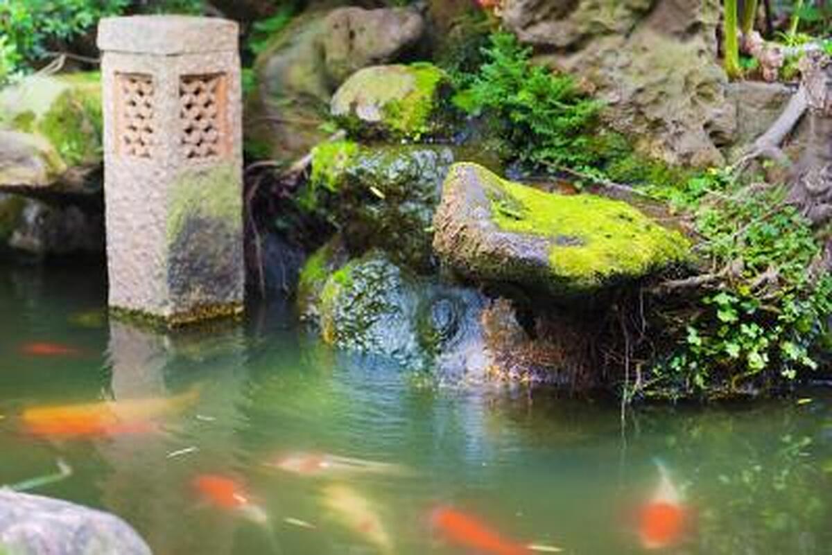 کاسار پارک هتل تیپی