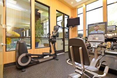 هامپتون این اند سویتز بای هیلتون لانگلی-سوری