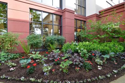 هامپتون این اند سویتز بای هیلتون لانگلی-سوری