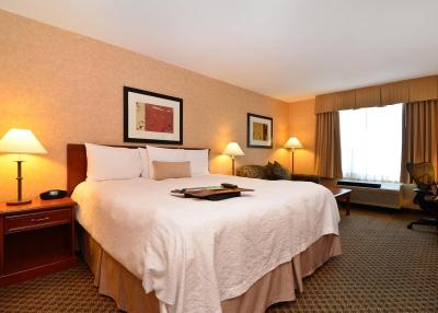 هامپتون این اند سویتز بای هیلتون لانگلی-سوری