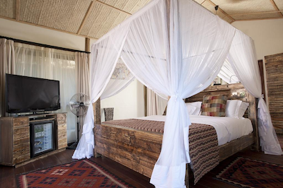 جامبو ایمپالا اکلج