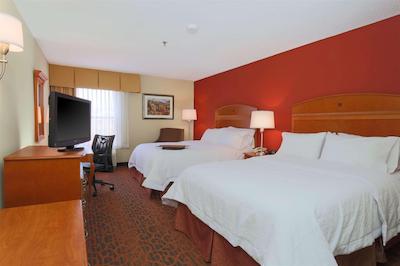 هامپتون این است لویز/فیرویو هایتز