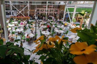 فنیشیا ریال هتل