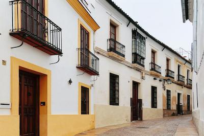 وربان ویدا کردبا