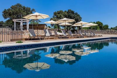 اگرتوریسمو سز ویستز