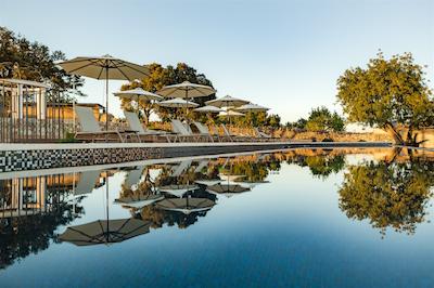 اگرتوریسمو سز ویستز