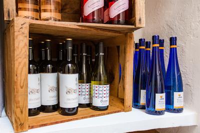 اگرتوریسمو سز ویستز