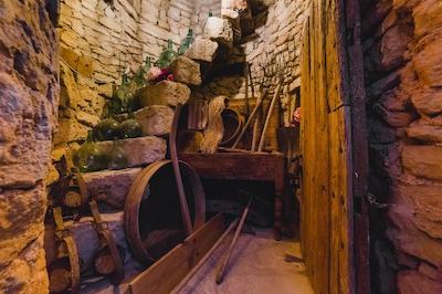 اگرتوریسمو سز ویستز