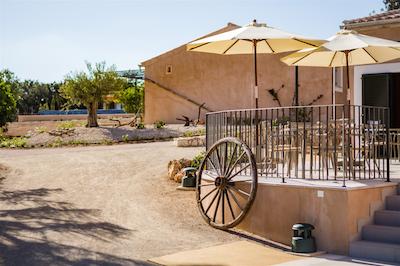 اگرتوریسمو سز ویستز