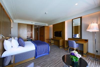 مرکور بورسا هتل