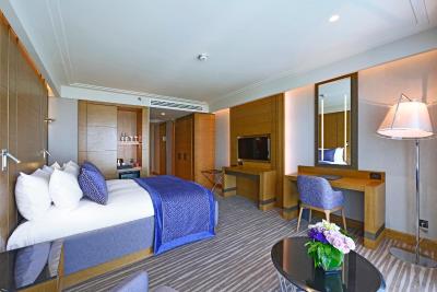 مرکور بورسا هتل