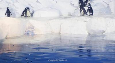 پسیفیک هتل شانگهای