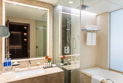 رادیسن بلو هتل اجمان