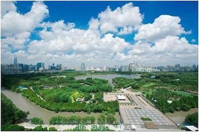 دورست شانگهای