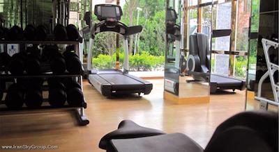 دورست شانگهای