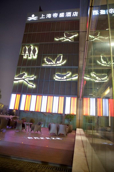 دورست شانگهای