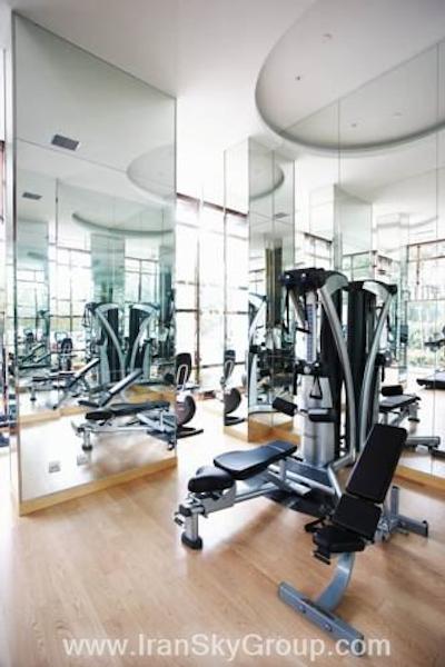 دورست شانگهای