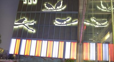 دورست شانگهای