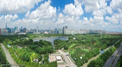 دورست شانگهای