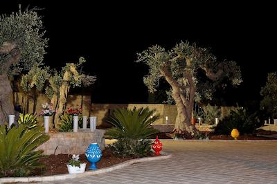 کاسال پرتو کنتسا