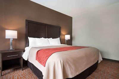 کمفرت این اند سویتز