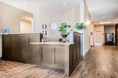 کمفرت این اند سویتز