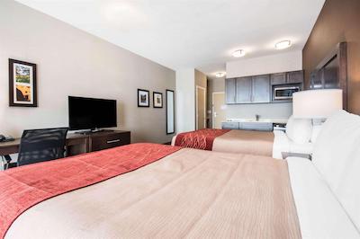 کمفرت این اند سویتز