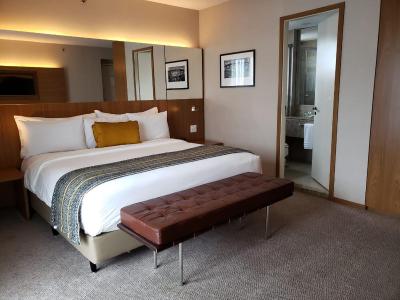 رادیسن بلو اسو پاولو