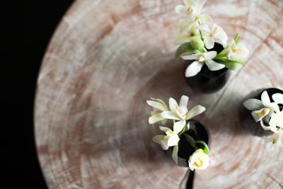 د پلازا اسئوول اوتگراف کالکشن