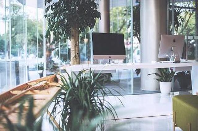 هالیدی این اکسپرس شانگهای سانگجیانگ فانگتا