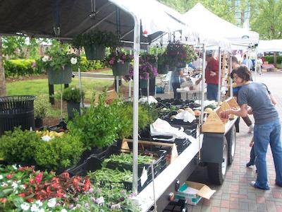 کرون پلازا هامپتون مارینا