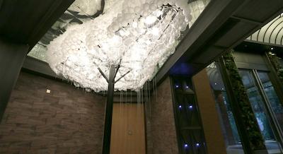 کسی پارک هتل